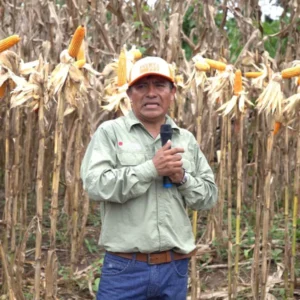 comunidad-productividad-5c